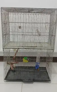 قفس پرنده