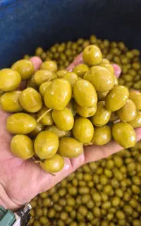 پخش کننده زیتون و رب