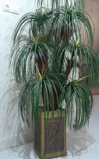 درختچه مصنوعی