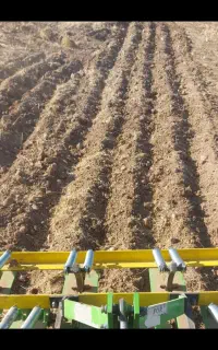 شخم زنی پنجه زنی کشاورزی باغی کلتیواتور