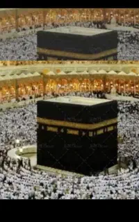 پنج عدد فیش حج عمره اولویت ۳۰۰