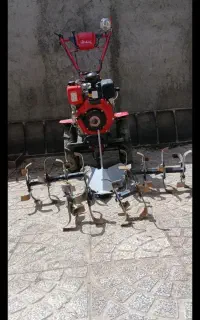 خدمات باغ.  باغچه.  حیاط