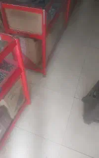 اجاره مغازه ۳۲ متری در خیابان درمانگاه رحیم بیات