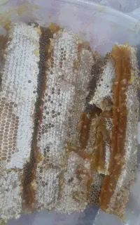 عسل خالص