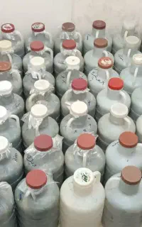 خیار شور ممتاز
