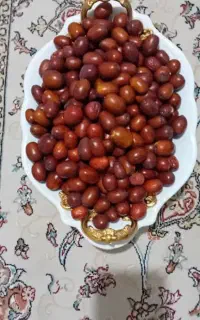 عناب درجه ۱