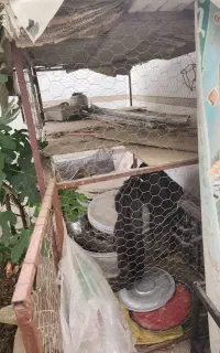 قفس بزرگ دوطبقه اهنی