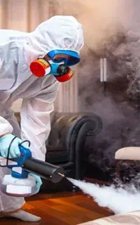 سمپاشی سوسک ساس کنه موریانه موش سم پاشی تضیمینی