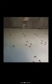 استا بنا  همه کاره