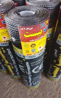 ایزوگام