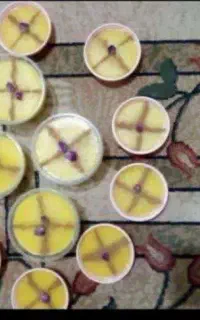 غذای خانگی سادات در خدمت شماست
