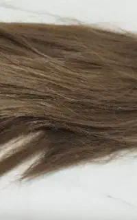 حراج کلاه گیس نو