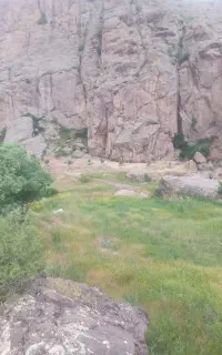 طبیعت گردی