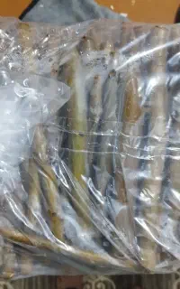 تعدادی محدود  پیوندک گردو