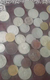 هرکه خرید بفرما