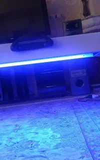 اجاره دستگاه زردی نوزاد