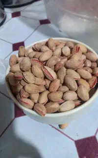پسته تازه امسال