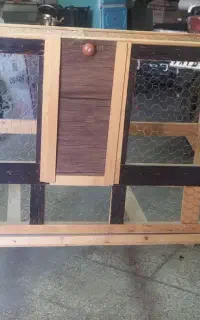 قفس