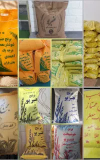 برنج عنبر بو احمدی برنج خوشپخت چمپا
