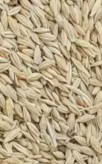 جو تمیز گونی شده