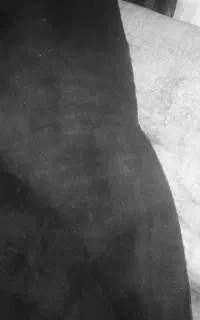 پالاز موکت پشمی. نمدی  مخمل 12متری