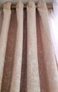 والان پانچ پتینه