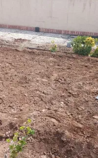 خدمات کشاورزی بنایی ساختمان