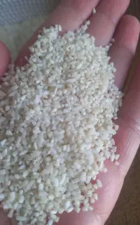 برنج  و سبزی خورشتی