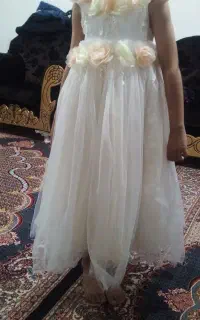 حراج دون مجلسی
