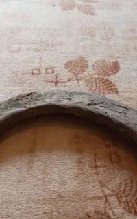 شاخ گاومیش