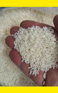 برنج  عنبربو