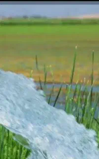 آب چاه