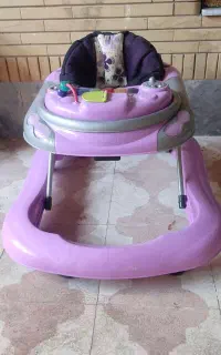 روروک