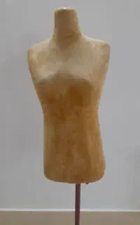 مانکن سوزن خور