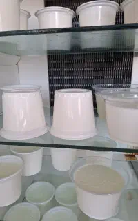 ماست میش