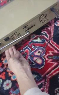 سیدی نو