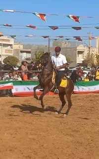 نریان ۴ سال کرد