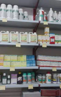 همکار خانم درداروخانه