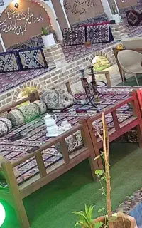 تخت چوبی رنگ شده