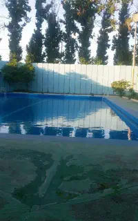 نیروی آقا یک روز در میان برای نظافت استخر