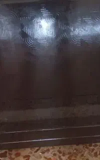 بخاری سالم ۱۲هزار ایران شرق