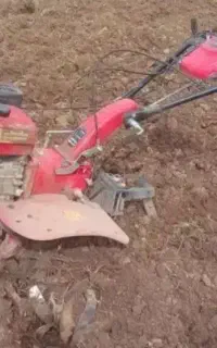 شخم زنی درباغات