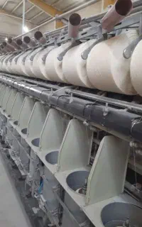کارگر مرد اتباع برای دستگاه تابندگی ولکمن ۰۶