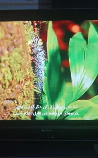 تلویزیون سونی