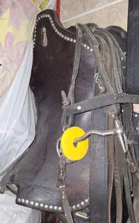 زین کاملا چرم اصفهان