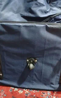 ساک بزرگ
