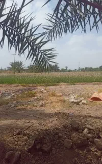 آبیاری وسایر کار مربوطه
