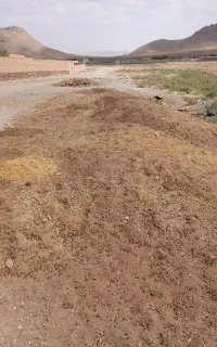 ۶ خاور کود گوسفند بدون اشغال