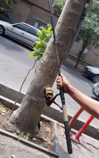 چوب و چرخ ماهیگیری