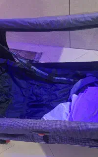 فروش تخت وپارک گودبیبی